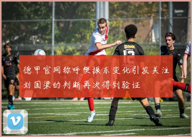 德甲官网称呼樊振东变化引发关注刘国梁的判断再次得到验证